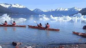 Kayak - Transfer